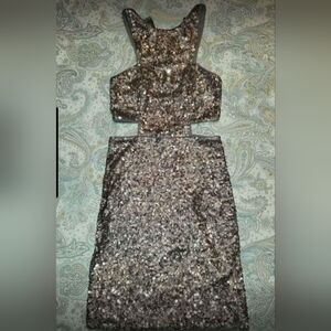 Express Sequin Dress in Golden Bronze